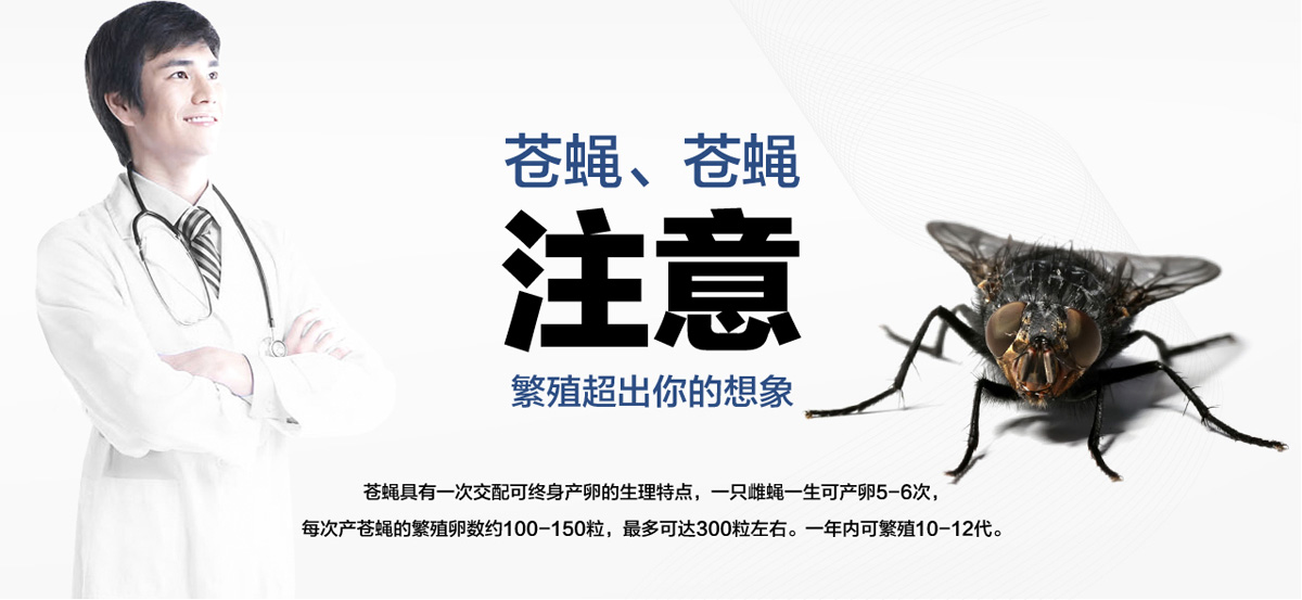 老鼠聰明超出你想象。