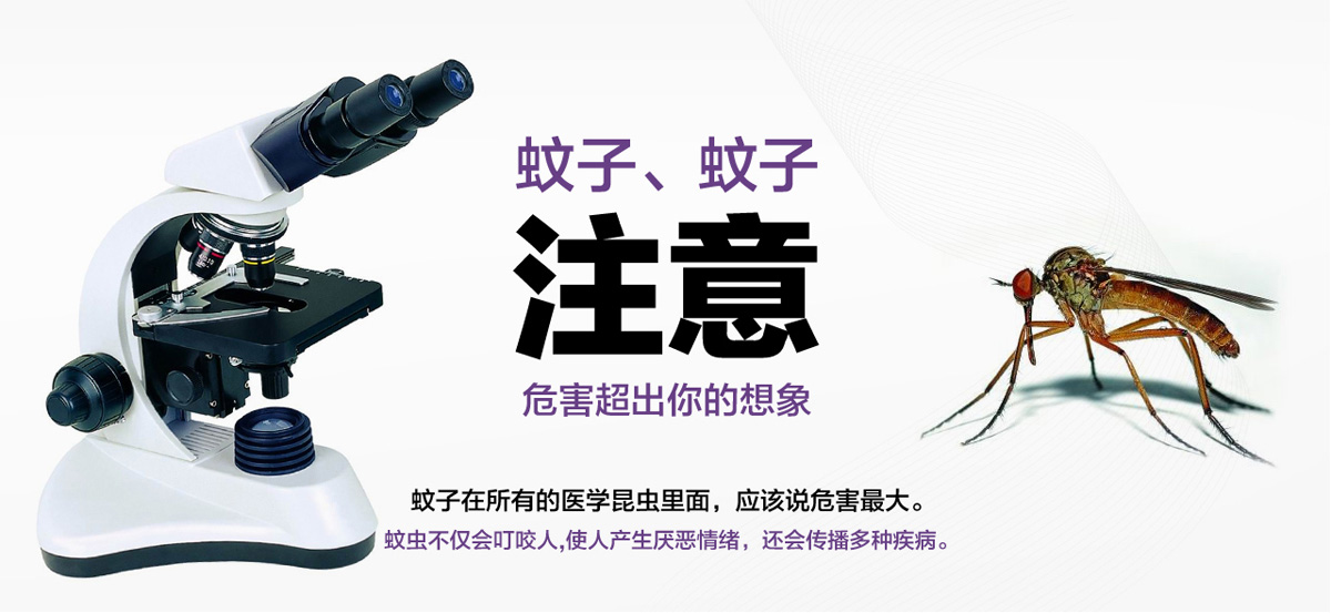蚊子危害超出你的想象。